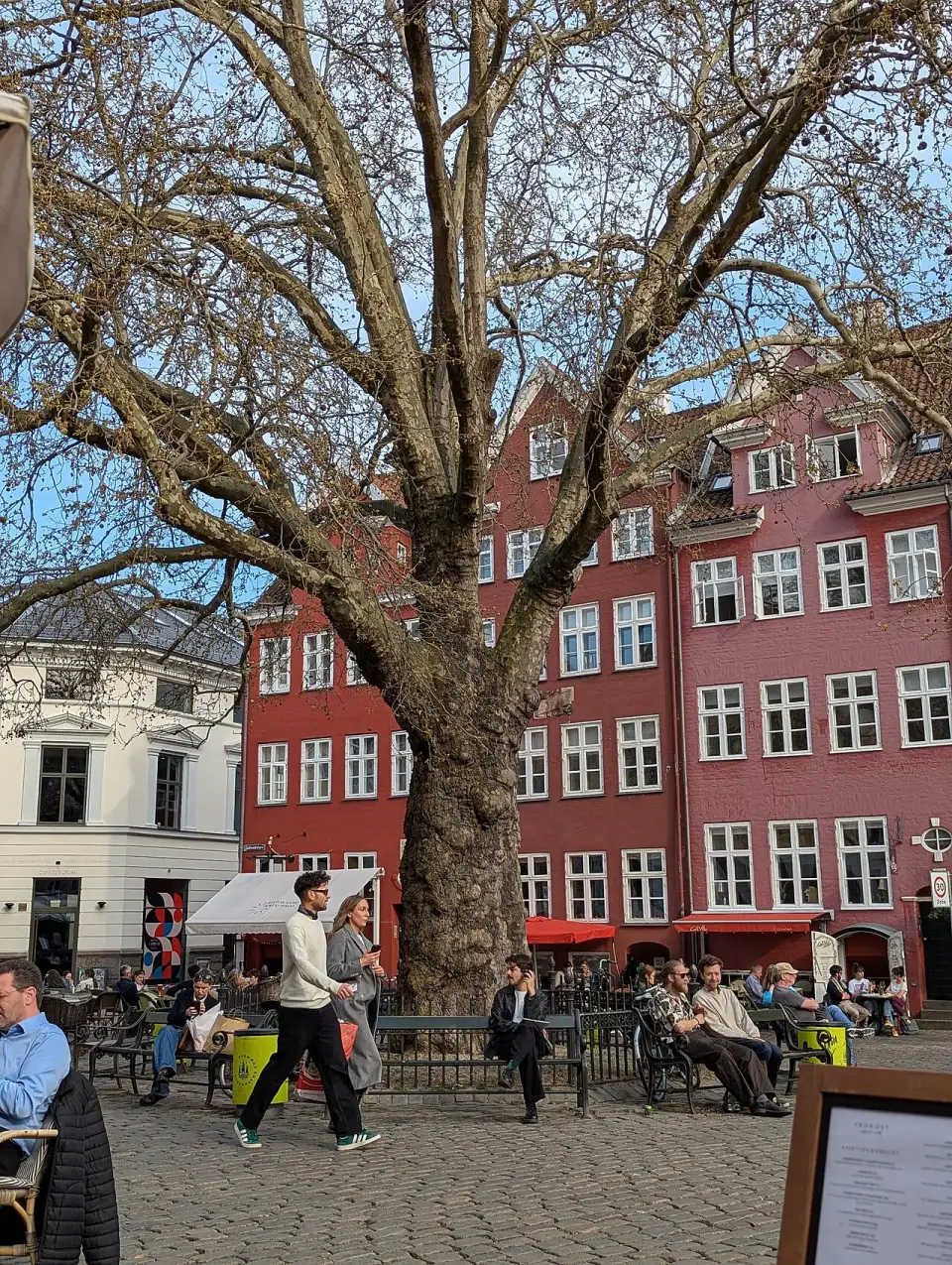 Casas vermelhas e mesas sob o plátano de Gråbrødretorv
