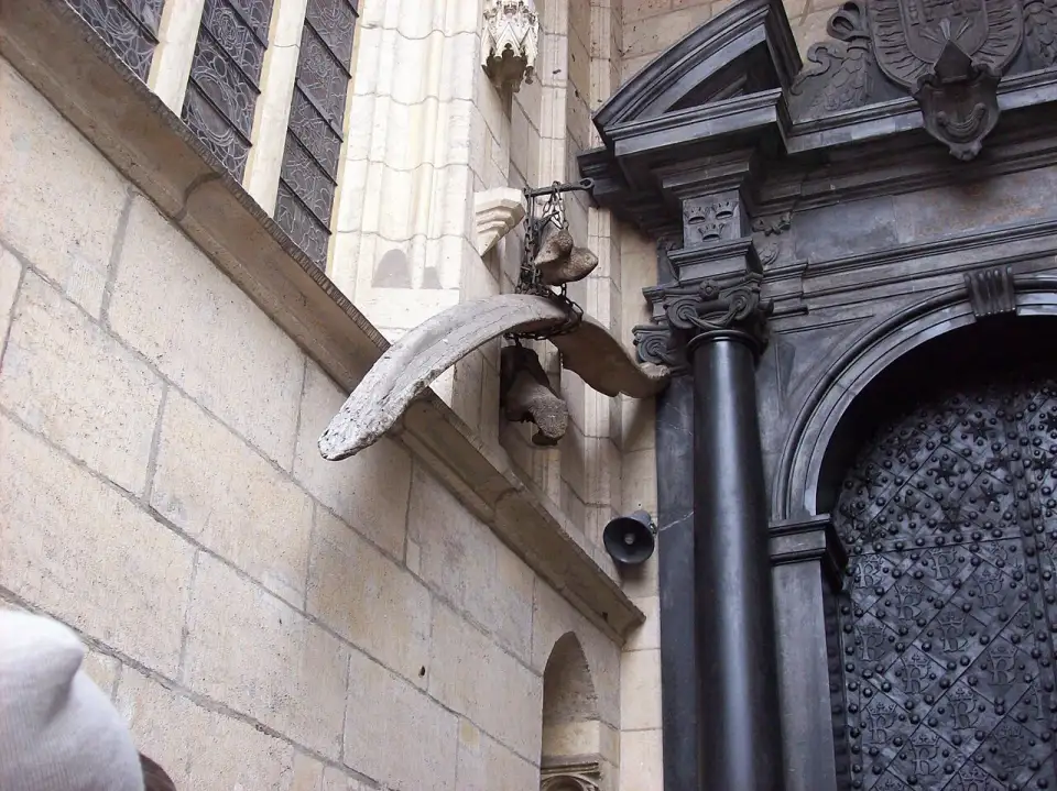 Prehistoric bones hanging beside the door of Wawel Cathedral