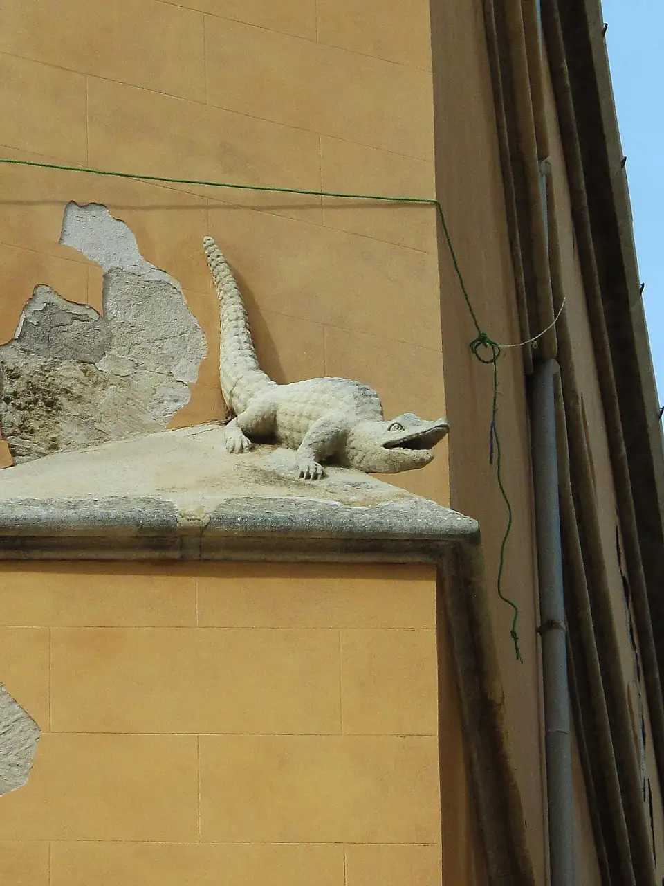 Pequena escultura de um crocodilo sobre a cornija de uma fachada ocre