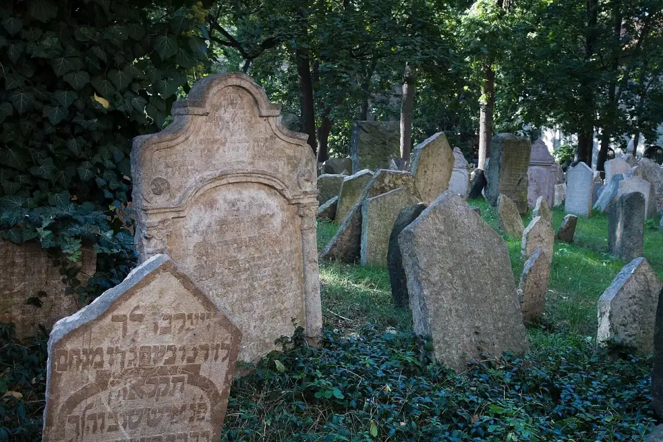 Lápidas con inscripciones hebreas entre la hiedra del Antiguo Cementerio Judío