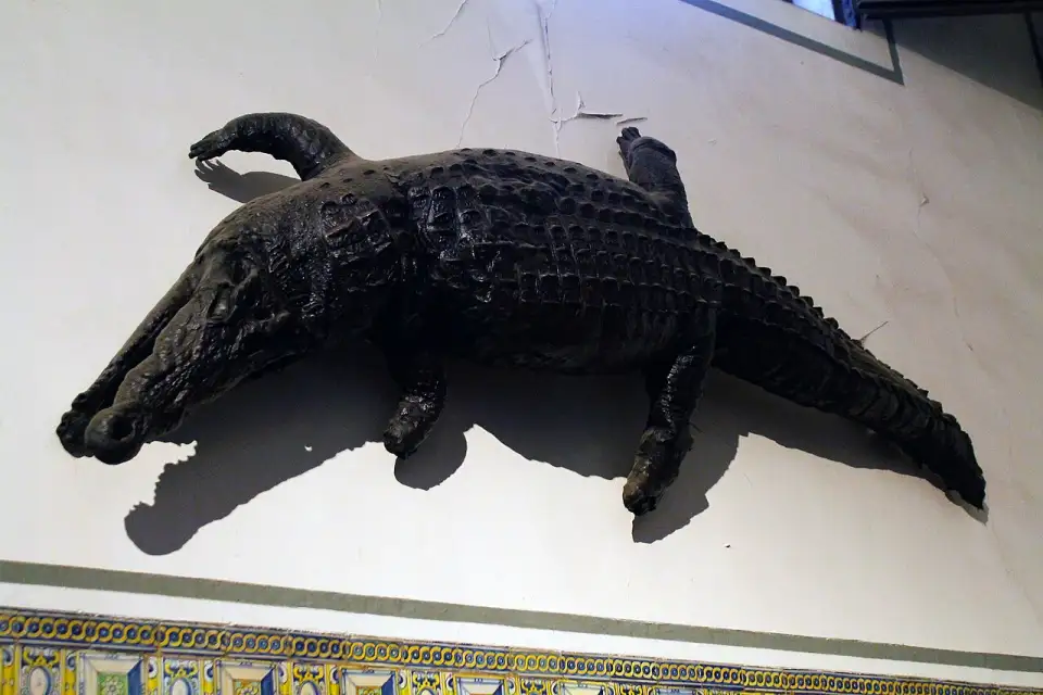 El caimán disecado que cuelga en la entrada de la iglesia del Patriarca